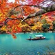 问鼎娱乐
